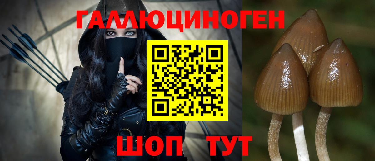 Галлюциногенные грибы Cubensis Магадан