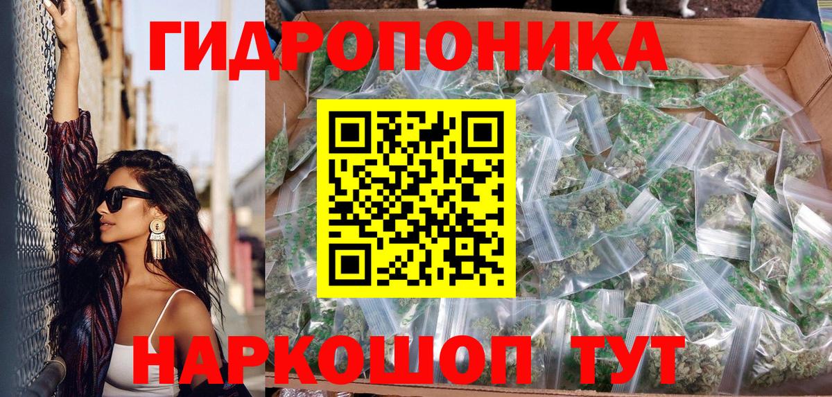 Бошки Шишки сатива Магадан